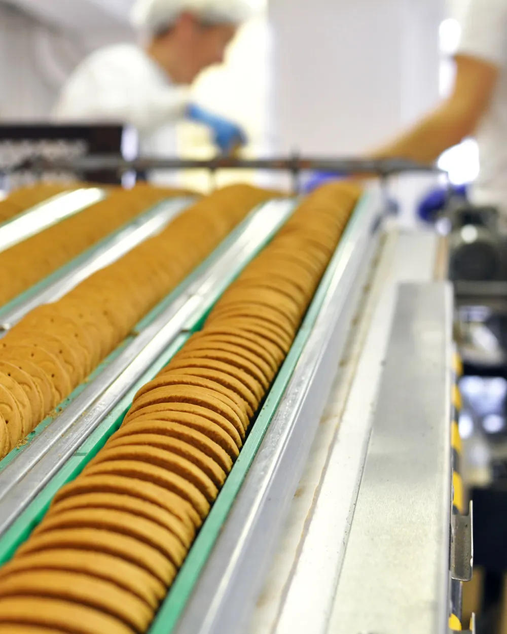 Strategiki Liderlik Işçi Sazlyşy